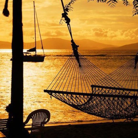 Meet your Posher, Shannon - Picture 1 of 1